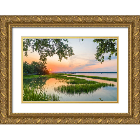 Morning Marsh 4 Gold Ornate Wood Framed Art Print with Double Matting by Malone, Will
