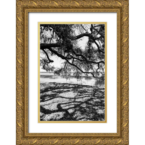 Shady Spot Gold Ornate Wood Framed Art Print with Double Matting by Malone, Will