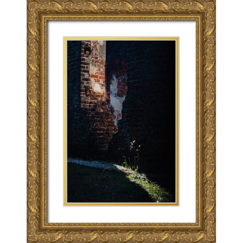 Sunlight Gold Ornate Wood Framed Art Print with Double Matting by Malone, Will