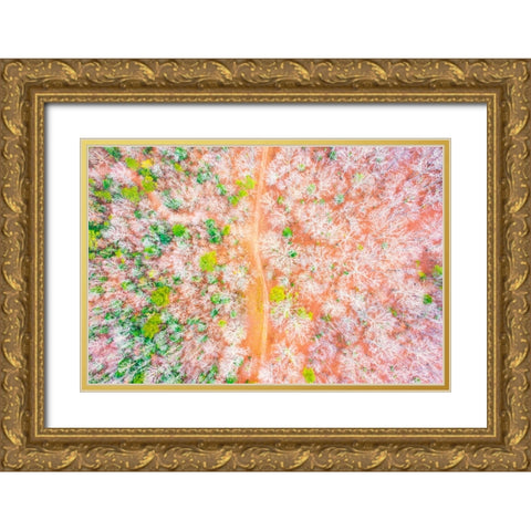 Dirt Road Gold Ornate Wood Framed Art Print with Double Matting by Malone, Will