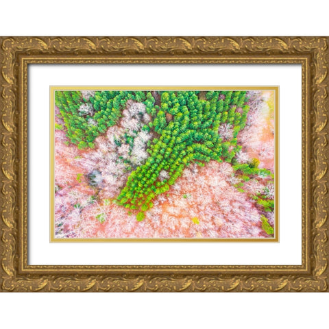 Green Splotch Gold Ornate Wood Framed Art Print with Double Matting by Malone, Will