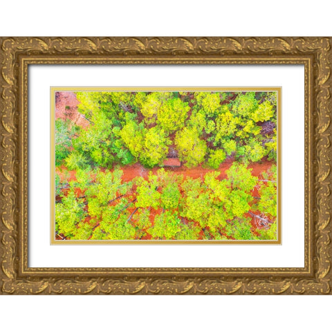 Hunting Shed Gold Ornate Wood Framed Art Print with Double Matting by Malone, Will