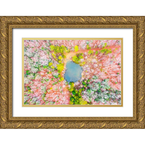 Pond in the Woods  Gold Ornate Wood Framed Art Print with Double Matting by Malone, Will