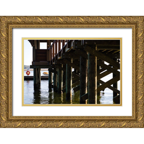 Salty Dog Gold Ornate Wood Framed Art Print with Double Matting by Malone, Will