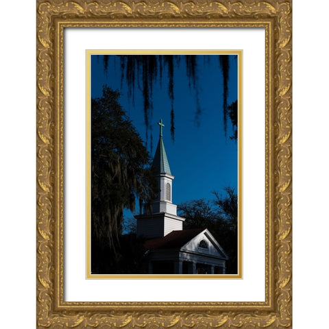 Spanish Moss Steeple Gold Ornate Wood Framed Art Print with Double Matting by Malone, Will