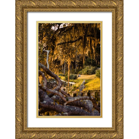 Sunset Spectator Gold Ornate Wood Framed Art Print with Double Matting by Malone, Will