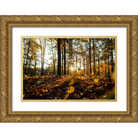 Fall Morning  Gold Ornate Wood Framed Art Print with Double Matting by Malone, Will