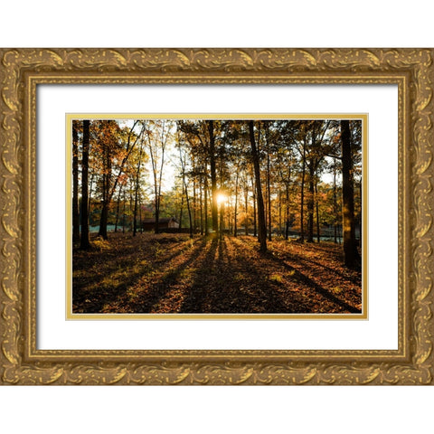 Fall Morning 2 Gold Ornate Wood Framed Art Print with Double Matting by Malone, Will