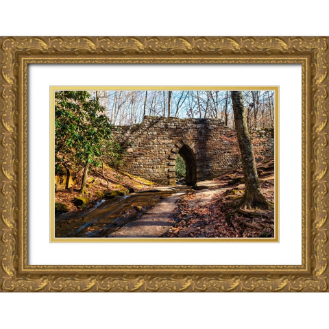 Poinsett Bridge 2 Gold Ornate Wood Framed Art Print with Double Matting by Malone, Will