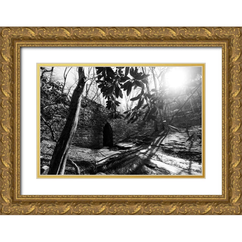Poinsett Bridge 3 BW Gold Ornate Wood Framed Art Print with Double Matting by Malone, Will