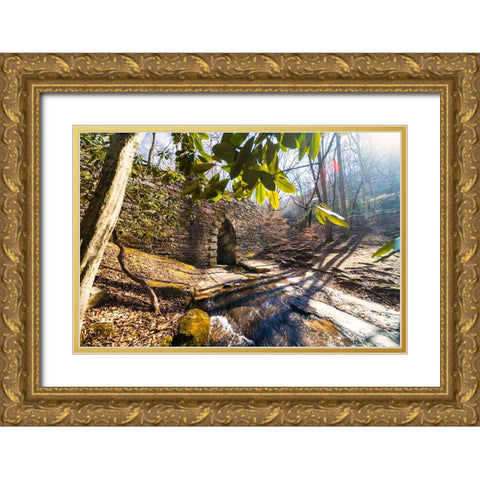 Poinsett Bridge 4 Gold Ornate Wood Framed Art Print with Double Matting by Malone, Will