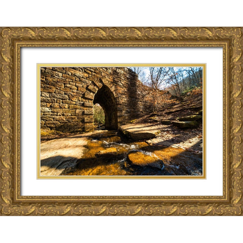Poinsett Bridge 5 Gold Ornate Wood Framed Art Print with Double Matting by Malone, Will