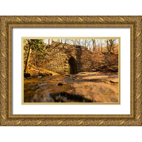 Poinsett Bridge 6 Gold Ornate Wood Framed Art Print with Double Matting by Malone, Will