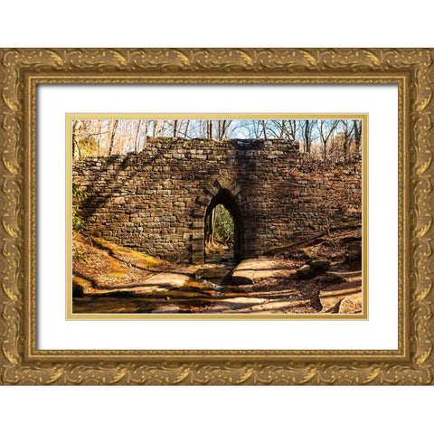 Poinsett Bridge 7 Gold Ornate Wood Framed Art Print with Double Matting by Malone, Will