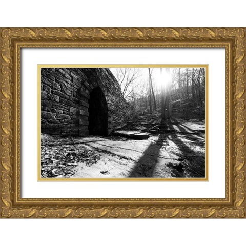 Poinsett Bridge 8 Gold Ornate Wood Framed Art Print with Double Matting by Malone, Will