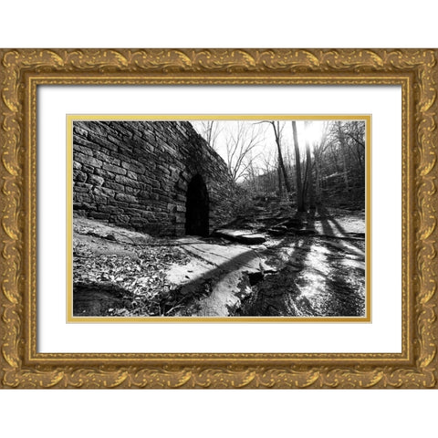 Poinsett Bridge 9 Gold Ornate Wood Framed Art Print with Double Matting by Malone, Will