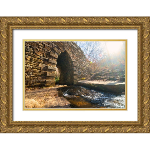 Poinsett Bridge 10 Gold Ornate Wood Framed Art Print with Double Matting by Malone, Will