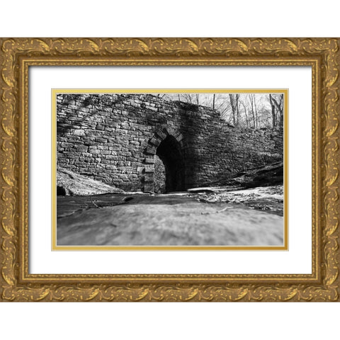 Poinsett Bridge 6 BW Gold Ornate Wood Framed Art Print with Double Matting by Malone, Will