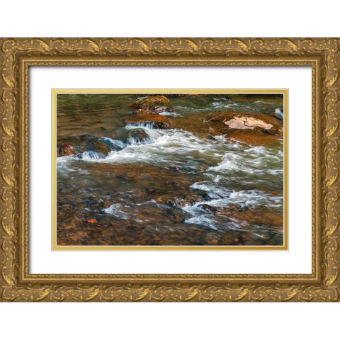 Winter Flow Gold Ornate Wood Framed Art Print with Double Matting by Malone, Will