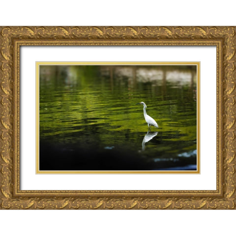 Reflection Gold Ornate Wood Framed Art Print with Double Matting by Malone, Will