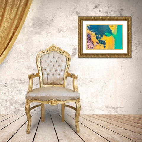 Savannah 2 Gold Ornate Wood Framed Art Print with Double Matting by Malone, Will