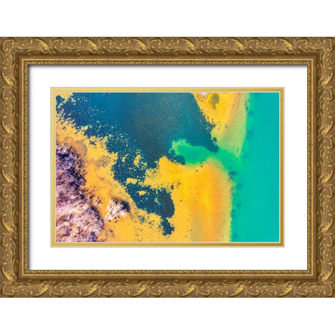 Savannah 2 Gold Ornate Wood Framed Art Print with Double Matting by Malone, Will