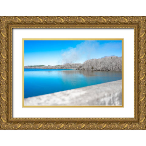 Savannah Smoke Signal Gold Ornate Wood Framed Art Print with Double Matting by Malone, Will