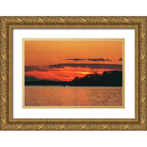 Fire on Hartwell Gold Ornate Wood Framed Art Print with Double Matting by Malone, Will