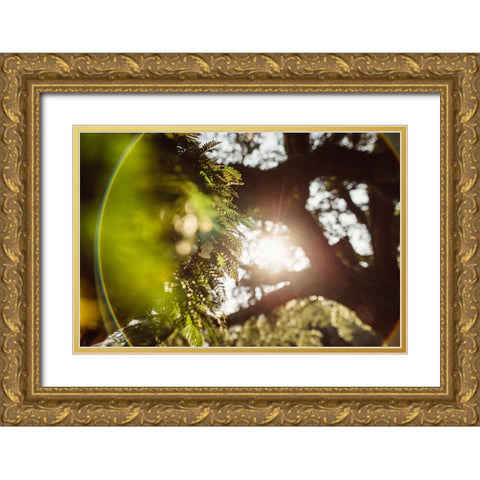 Big Oak 4 Gold Ornate Wood Framed Art Print with Double Matting by Malone, Will
