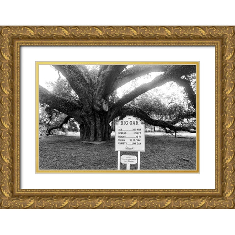 Big Oak Vintage Gold Ornate Wood Framed Art Print with Double Matting by Malone, Will