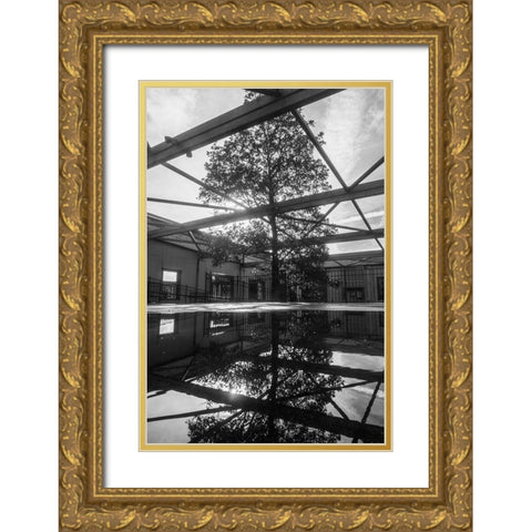 Breakthrough Gold Ornate Wood Framed Art Print with Double Matting by Malone, Will