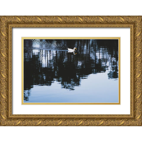 Cherokee Lake Duck Gold Ornate Wood Framed Art Print with Double Matting by Malone, Will