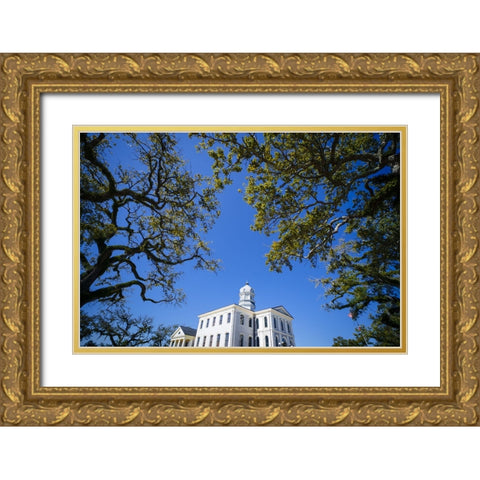 Courthouse 5 Gold Ornate Wood Framed Art Print with Double Matting by Malone, Will
