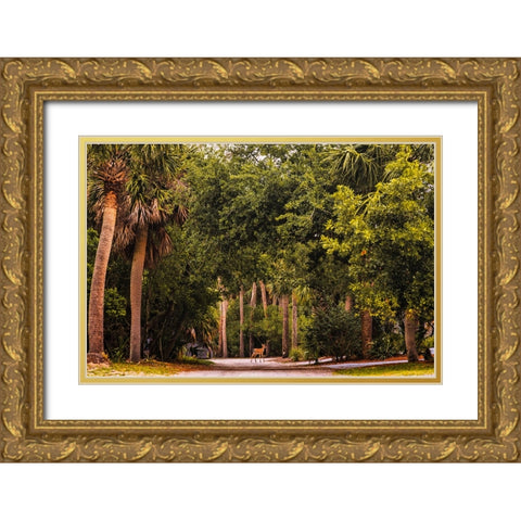 Deer Canopy Gold Ornate Wood Framed Art Print with Double Matting by Malone, Will