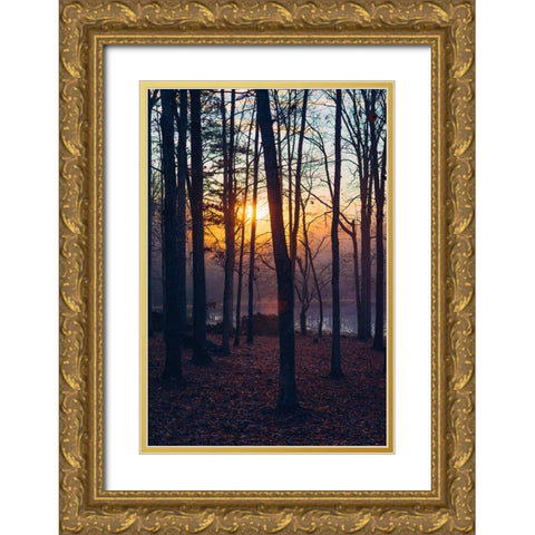 Foggy Sunrise Vert Gold Ornate Wood Framed Art Print with Double Matting by Malone, Will