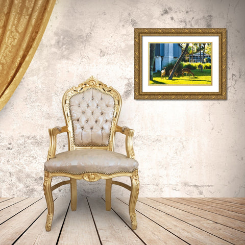 Fripp Deer Gold Ornate Wood Framed Art Print with Double Matting by Malone, Will