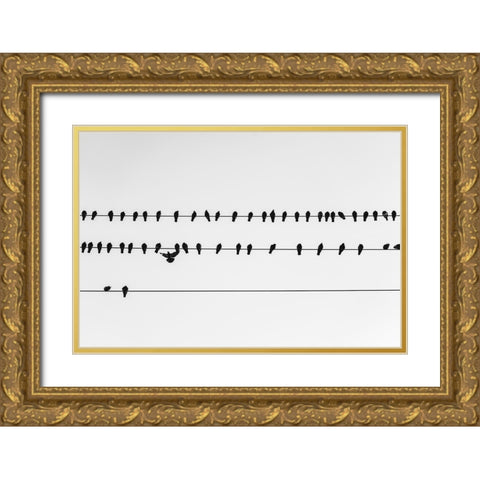 Get in Line Watermark Gold Ornate Wood Framed Art Print with Double Matting by Malone, Will