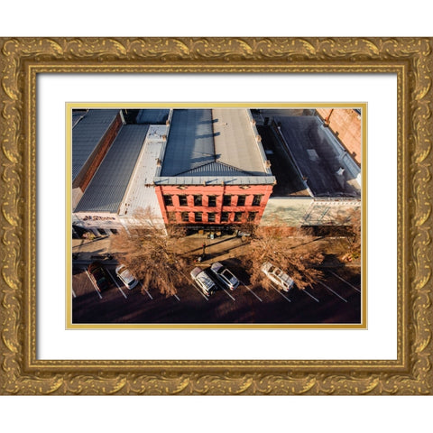 Grassroots Above Gold Ornate Wood Framed Art Print with Double Matting by Malone, Will