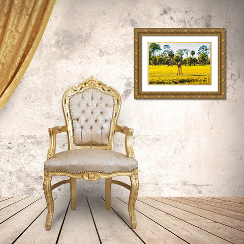 Hi Gold Ornate Wood Framed Art Print with Double Matting by Malone, Will