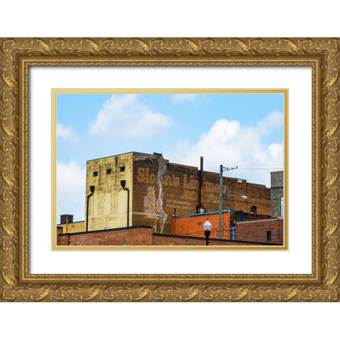 Kills Pain 2 Gold Ornate Wood Framed Art Print with Double Matting by Malone, Will