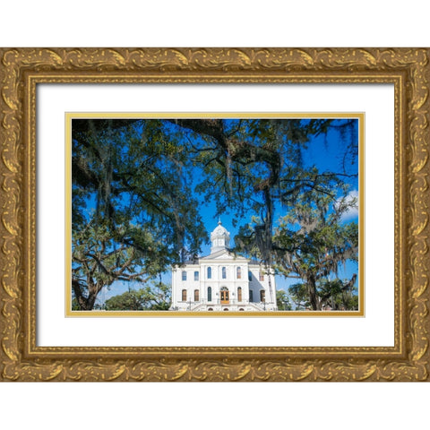 Live Oak Courthouse Gold Ornate Wood Framed Art Print with Double Matting by Malone, Will
