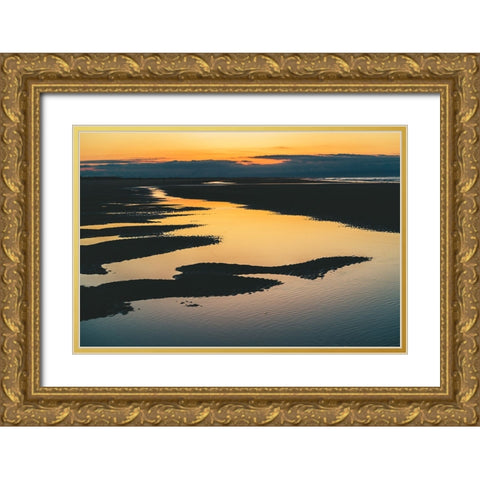 Magic Tide Pools 3 Gold Ornate Wood Framed Art Print with Double Matting by Malone, Will