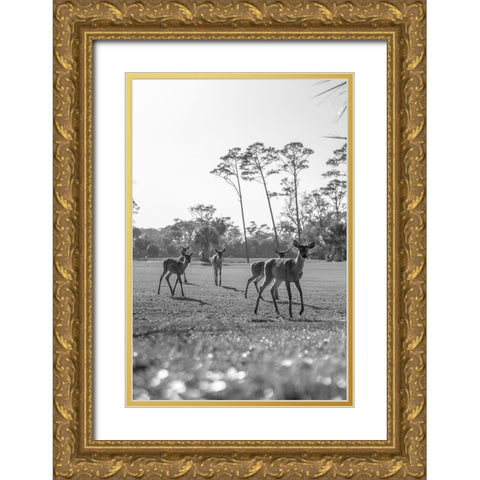 Make Way Gold Ornate Wood Framed Art Print with Double Matting by Malone, Will