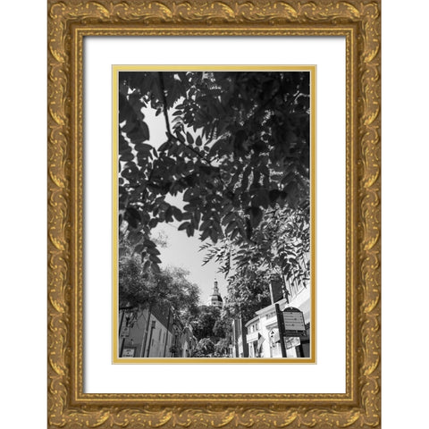 Maryland Capital Vertical Gold Ornate Wood Framed Art Print with Double Matting by Malone, Will