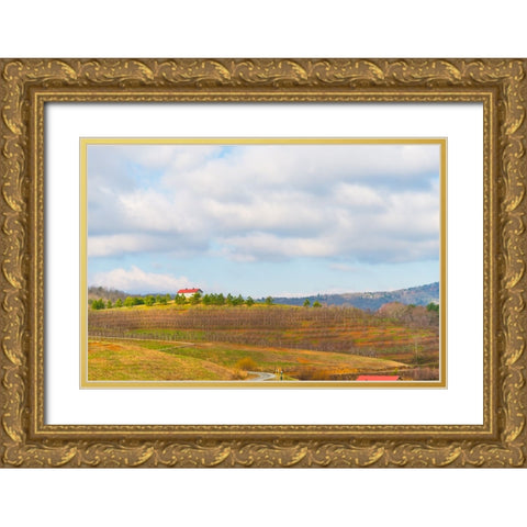 Merciers 2 Gold Ornate Wood Framed Art Print with Double Matting by Malone, Will