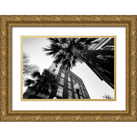 Metro Palm Gold Ornate Wood Framed Art Print with Double Matting by Malone, Will
