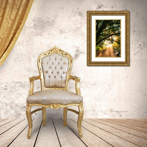 Morning Sunlight Gold Ornate Wood Framed Art Print with Double Matting by Malone, Will