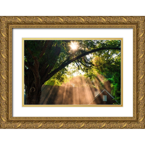 Morning Sunlight Horizontal Gold Ornate Wood Framed Art Print with Double Matting by Malone, Will