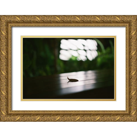 Nightlife snail Gold Ornate Wood Framed Art Print with Double Matting by Malone, Will