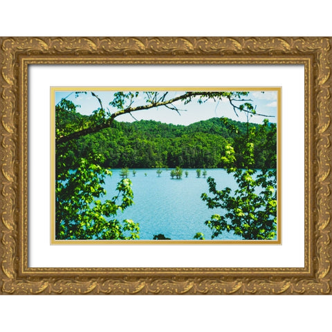 Ocoee Summer 2 Gold Ornate Wood Framed Art Print with Double Matting by Malone, Will